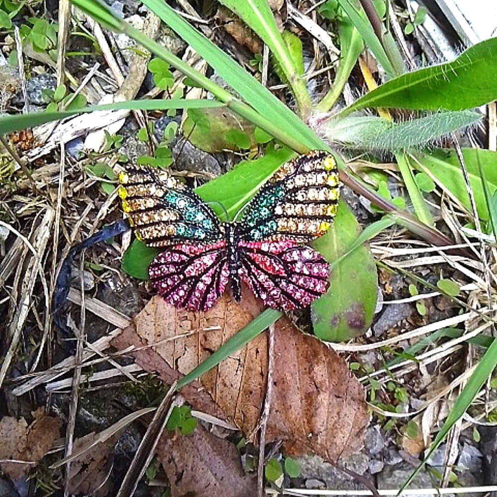 Butterfly Pin